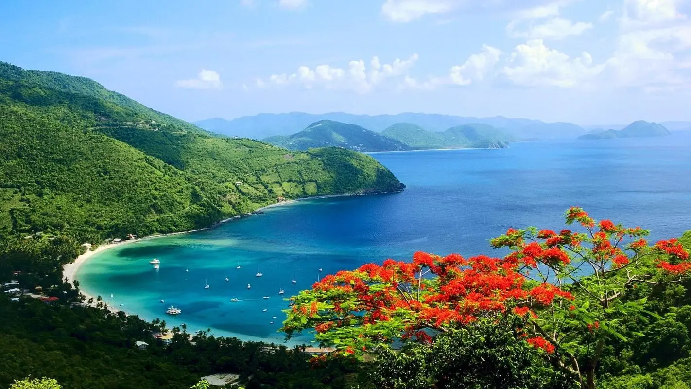 高精度可靠性智能系统